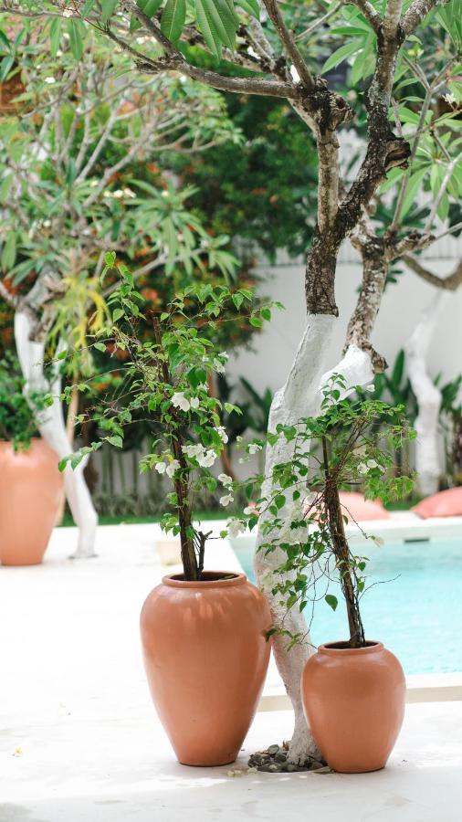 Villa Diola 3 Canggu Eksteriør bilde